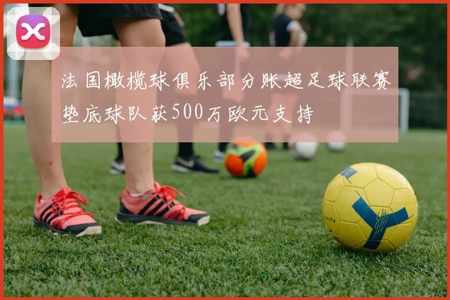法国橄榄球俱乐部分账超足球联赛垫底球队获500万欧元支持